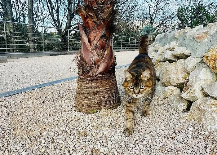 Superbe Maison 4 A 15 Min De Toulouse *