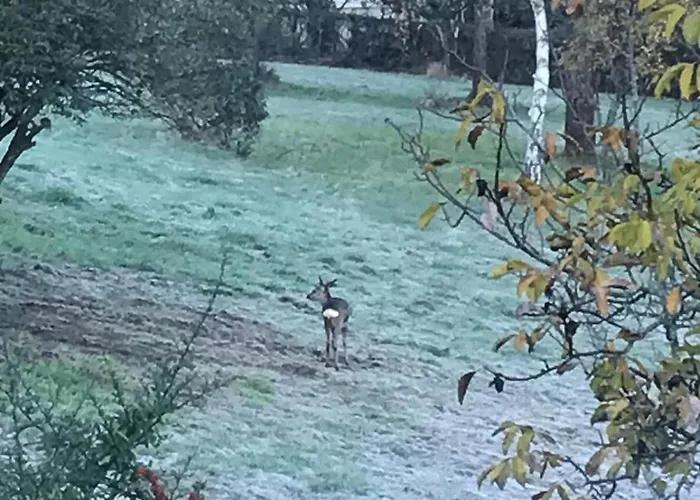 Superbe Maison 4 A 15 Min De Toulouse *